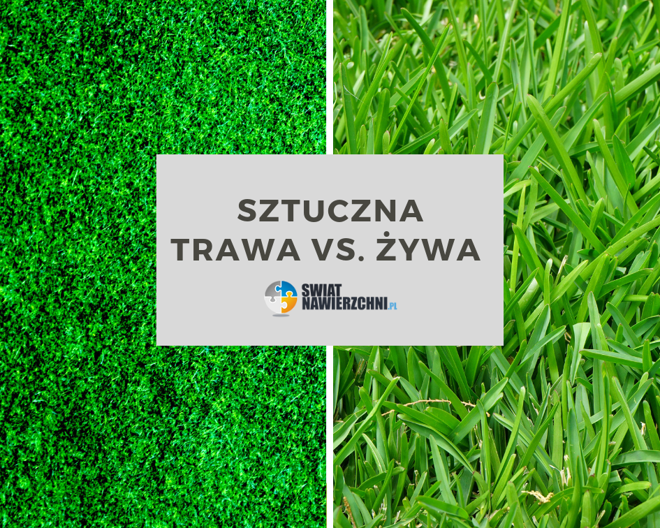 Sztuczna trawa vs. żywa